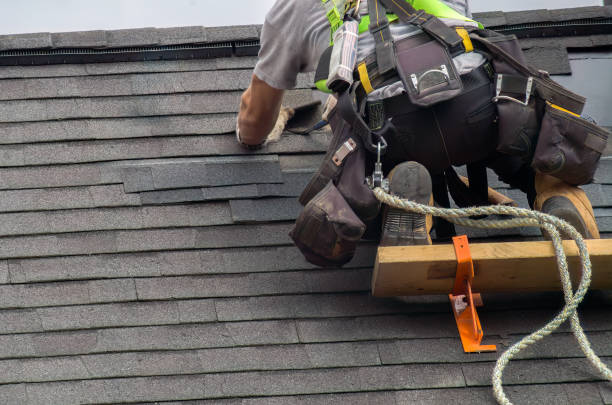 Best Storm Damage Roof Repair  in Lawton, MI